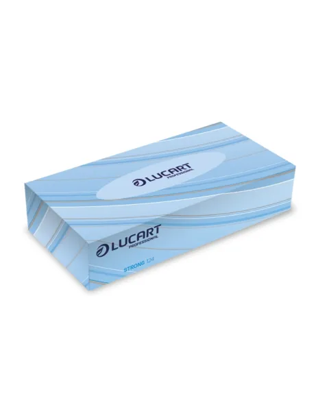 Lucart Facial Tissues Rectangular Boxes x 36